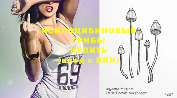 таблы Пролетарск
