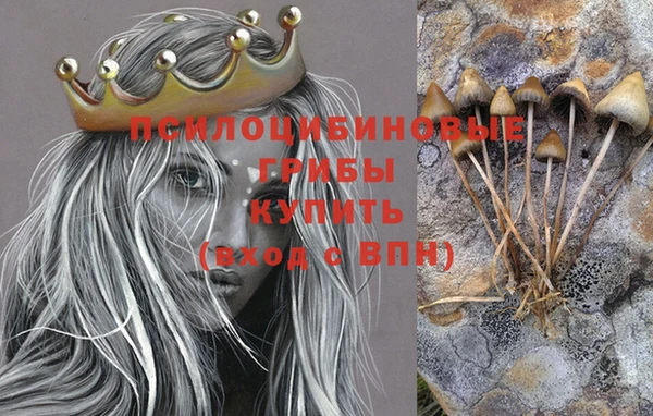 спиды Протвино