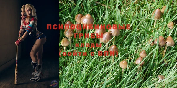 дурь Абаза