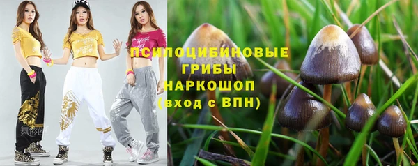 спиды Протвино